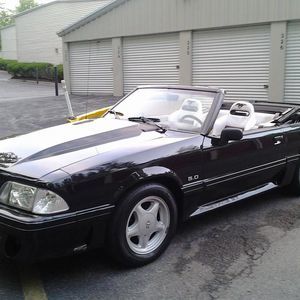 Meet your Posher, Gregory